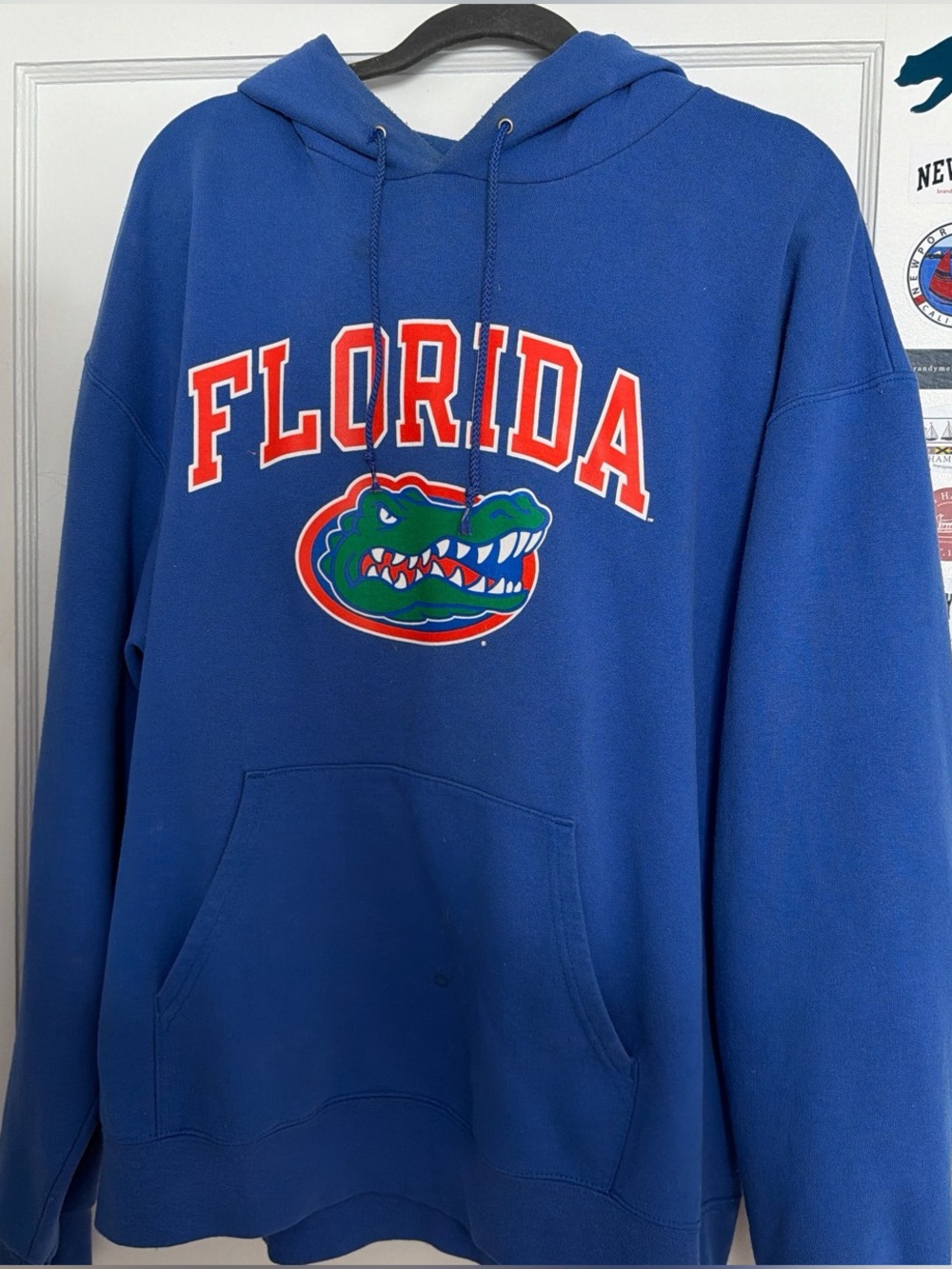 Fanatics Royal Blue Florida Gators Pullover Hoodie with Gator Logo